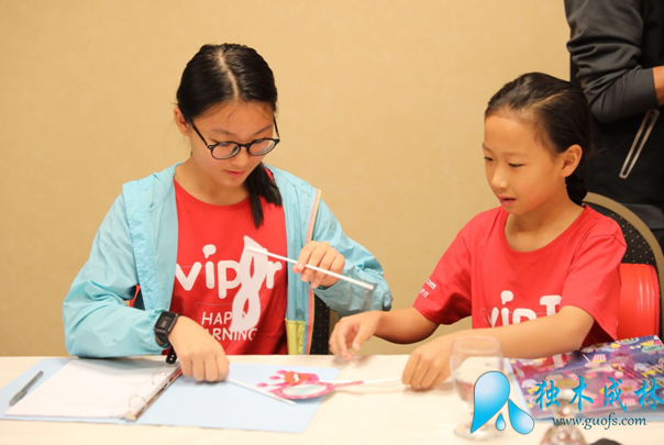 vipJrӢݽ֮ʽ_ʦѵѧԱſ