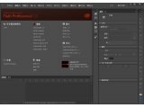 Adobe Flash Professional CC ٷİ